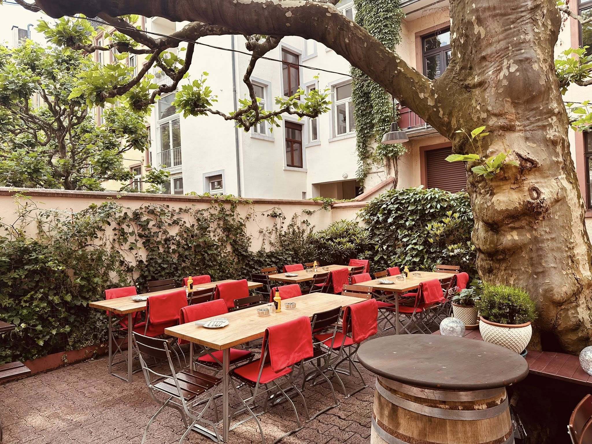 Vorschau: Unser Sommergarten